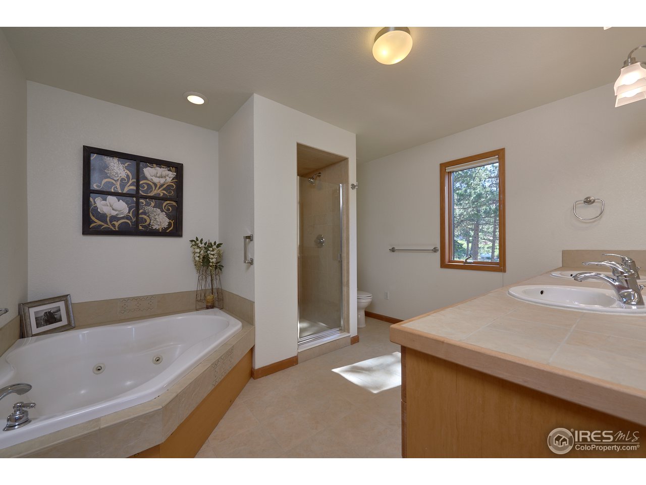 1580 Ridge Road Nederland, CO 80466 - Photo 20 of 31 Master Bath en Suite