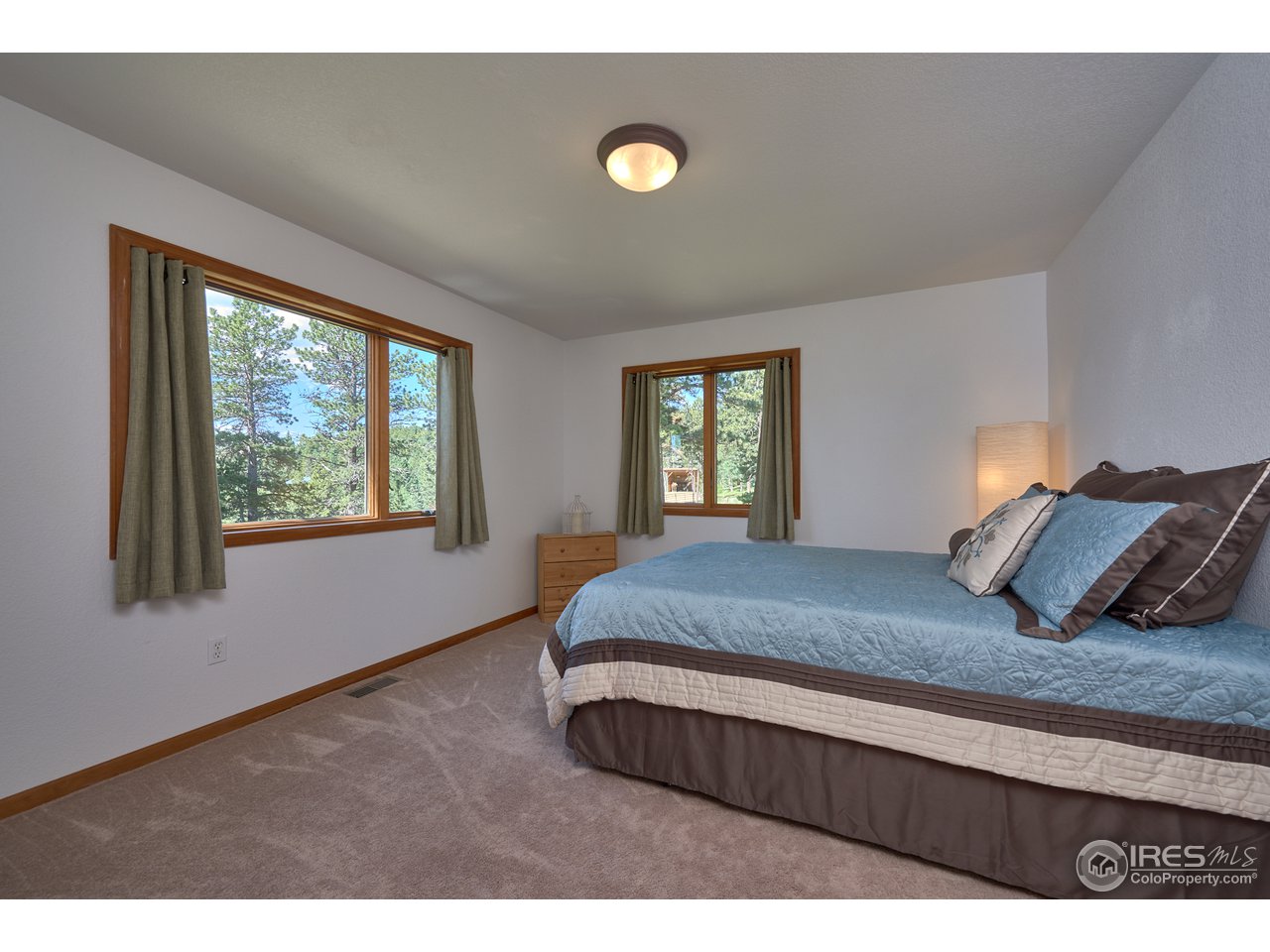 1580 Ridge Road Nederland, CO 80466 - Photo 25 of 31 Downstairs Bedroom w/Walk In Closet