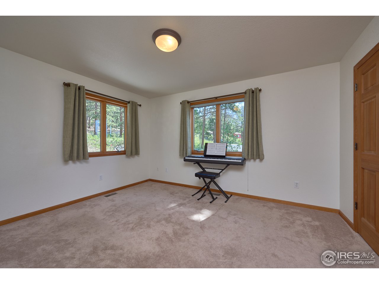 1580 Ridge Road Nederland, CO 80466 - Photo 27 of 31 Downstairs Bedroom w/Walk In Closet
