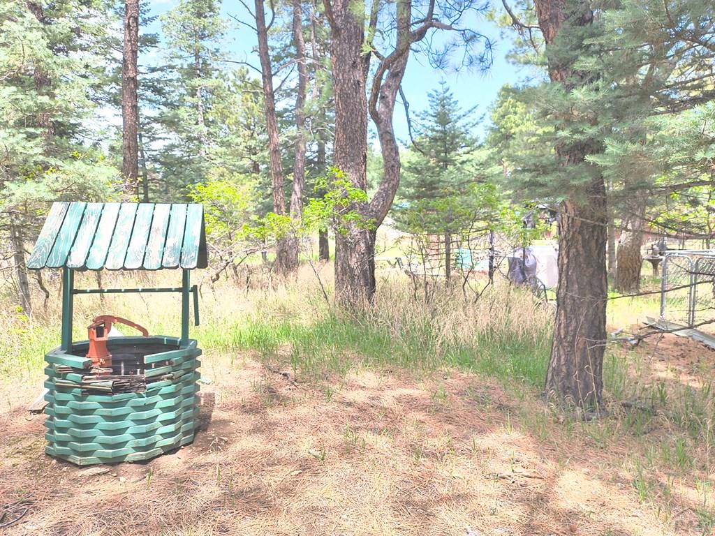 10594 Charles Lane Rye, CO 81069 - Photo 14 of 14