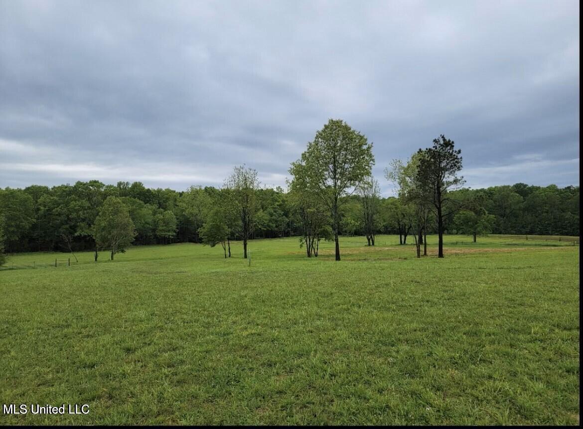 12239 Old Byhalia Road Byhalia, MS 38611 - Photo 11 of 17 20230707171114019048000000-o