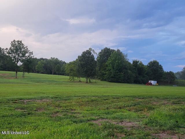 12239 Old Byhalia Road Byhalia, MS 38611 - Photo 12 of 17 20230626203522461986000000-o