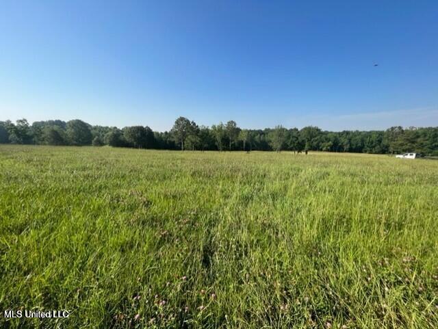 12239 Old Byhalia Road Byhalia, MS 38611 - Photo 13 of 17 20230627195554416064000000-o