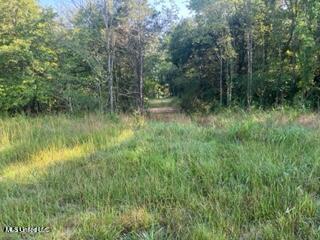 12239 Old Byhalia Road Byhalia, MS 38611 - Photo 14 of 17 20230627195547801196000000-o