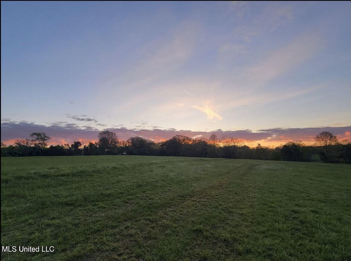 12239 Old Byhalia Road Byhalia, MS 38611 - Photo 16 of 17 20230707171120299760000000-o