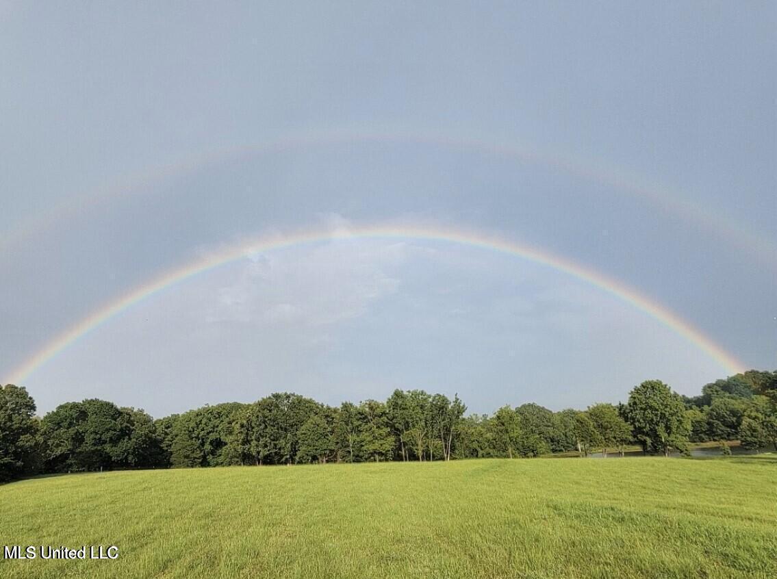 12239 Old Byhalia Road Byhalia, MS 38611 - Photo 17 of 17 20230707171126377643000000-o