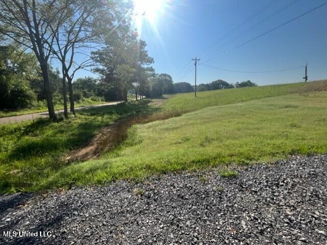 12239 Old Byhalia Road Byhalia, MS 38611 - Photo 4 of 17 20230627195555213726000000-o