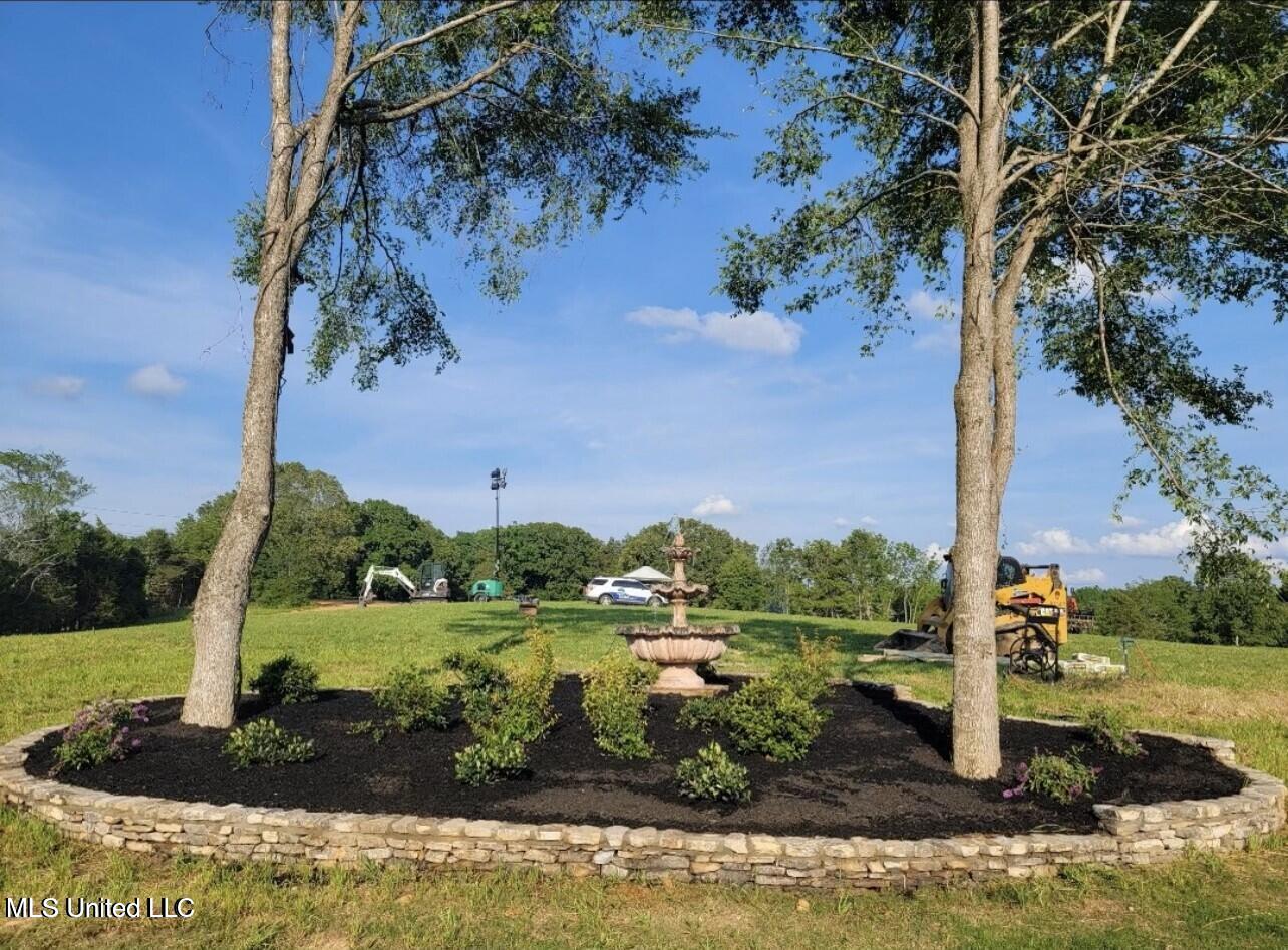 12239 Old Byhalia Road Byhalia, MS 38611 - Photo 5 of 17 20230707171117354261000000-o