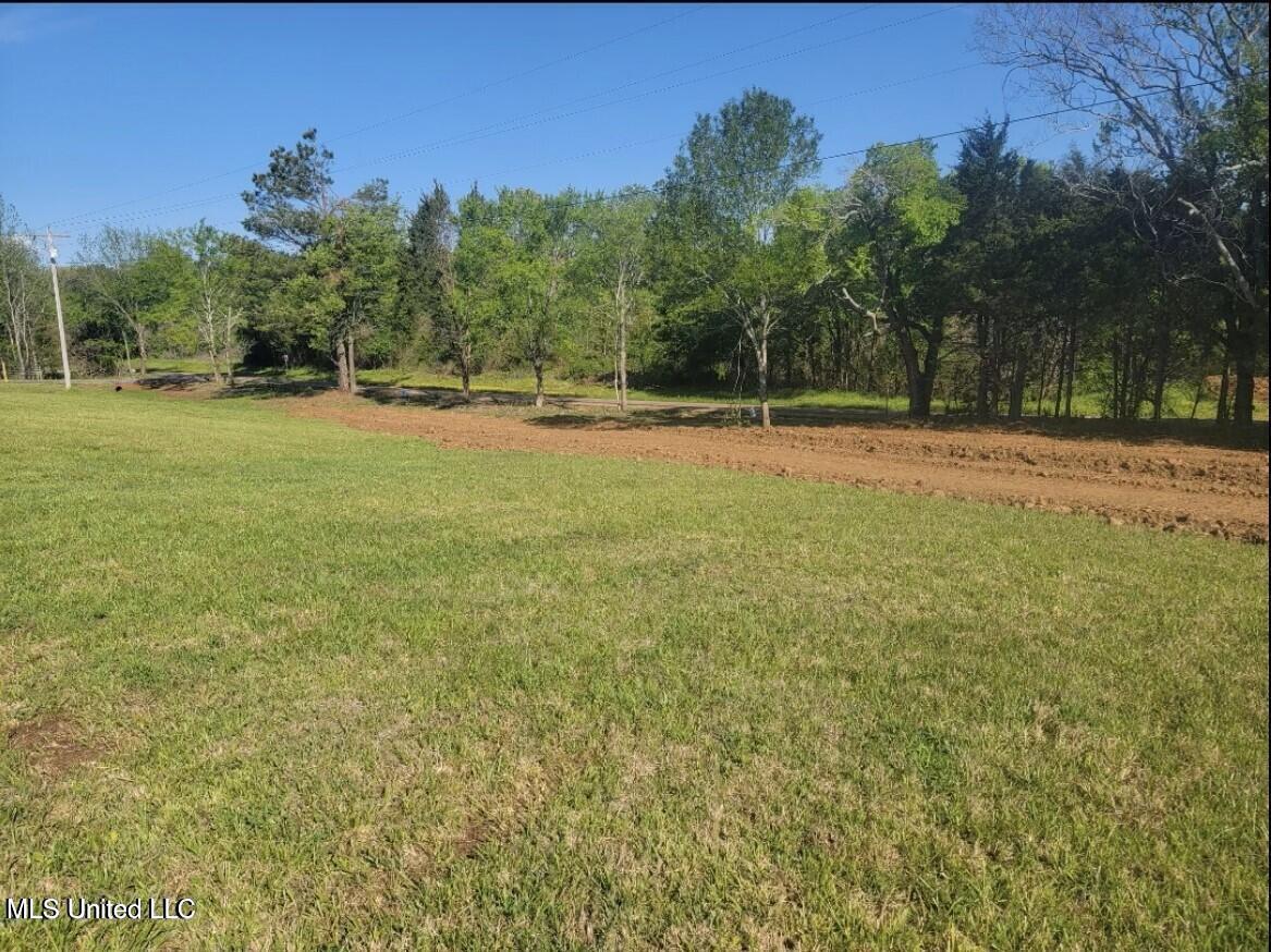 12239 Old Byhalia Road Byhalia, MS 38611 - Photo 7 of 17 20230707171112621674000000-o