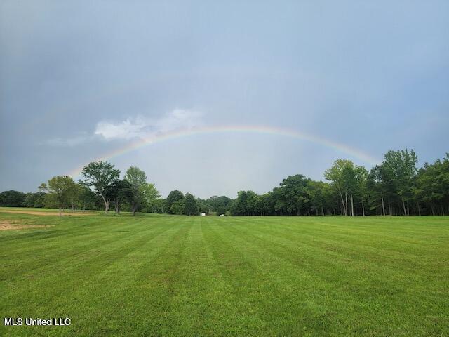 12239 Old Byhalia Road Byhalia, MS 38611 - Photo 9 of 17 20230626202733407325000000-o