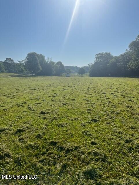 12239 Old Byhalia Road Byhalia, MS 38611 - Photo 10 of 17 20230627195545271207000000-o