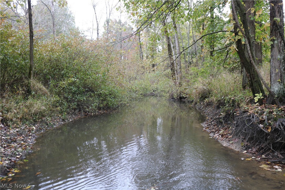 North Richmond Road Pierpont, OH 44082 - Photo 5 of 34 West Branch Ashtabula River