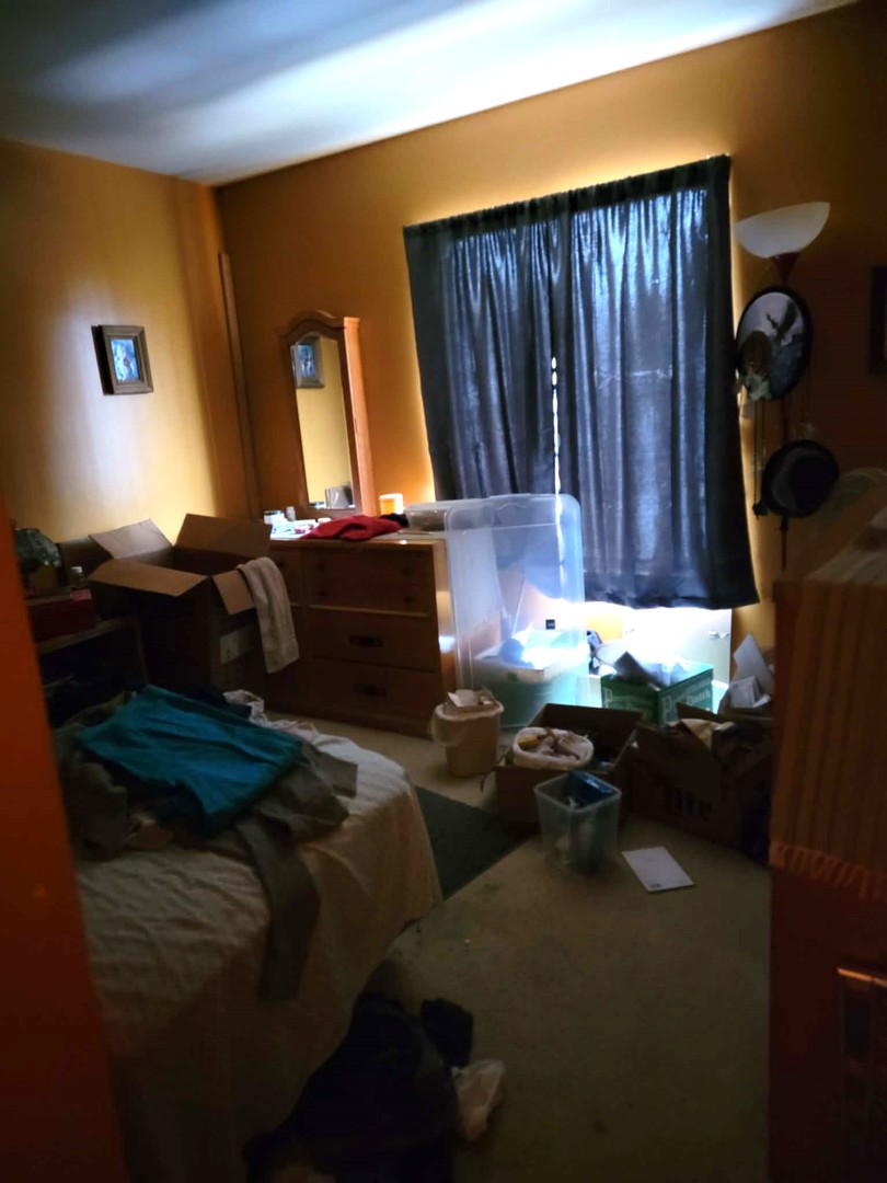 236 George Street, Unit B Bensenville, IL 60106 - Photo 12 of 13