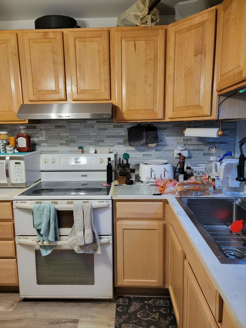 236 George Street, Unit B Bensenville, IL 60106 - Photo 2 of 13