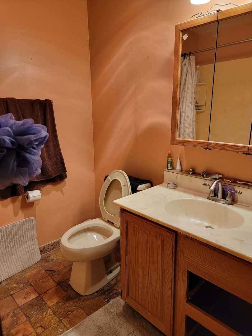 236 George Street, Unit B Bensenville, IL 60106 - Photo 4 of 13