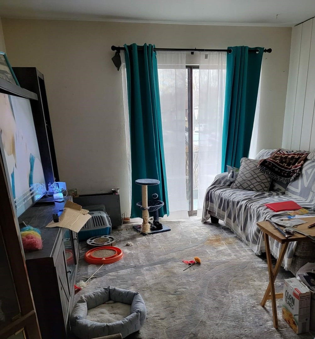 236 George Street, Unit B Bensenville, IL 60106 - Photo 5 of 13