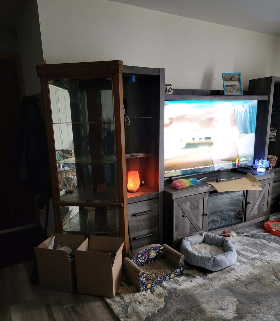 236 George Street, Unit B Bensenville, IL 60106 - Photo 6 of 13