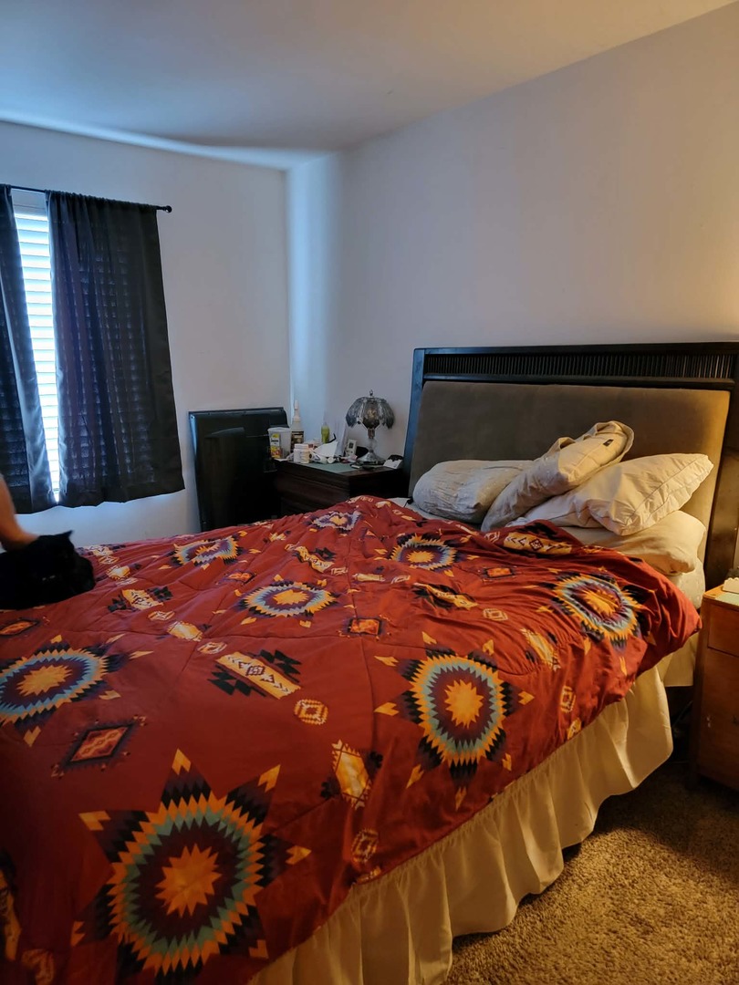 236 George Street, Unit B Bensenville, IL 60106 - Photo 8 of 13