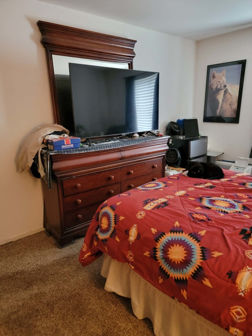 236 George Street, Unit B Bensenville, IL 60106 - Photo 10 of 13