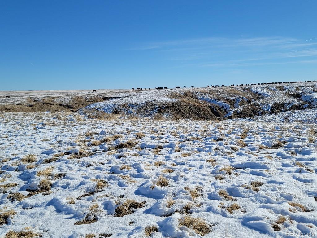 103 County Road Rye, CO 81069 - Photo 8 of 25