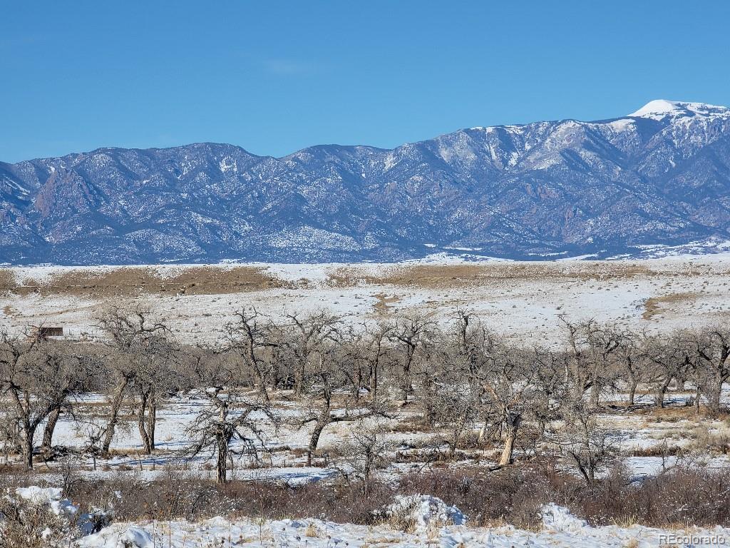 103 County Road Rye, CO 81069 - Photo 10 of 25