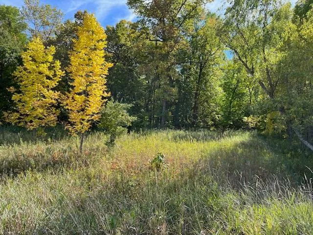 $115,000 | Xxxx Woodsmen Lane Southwest, Alexandria, MN 56308