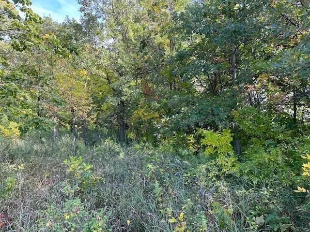 $115,000 | Xxxx Woodsmen Lane Southwest, Alexandria, MN 56308