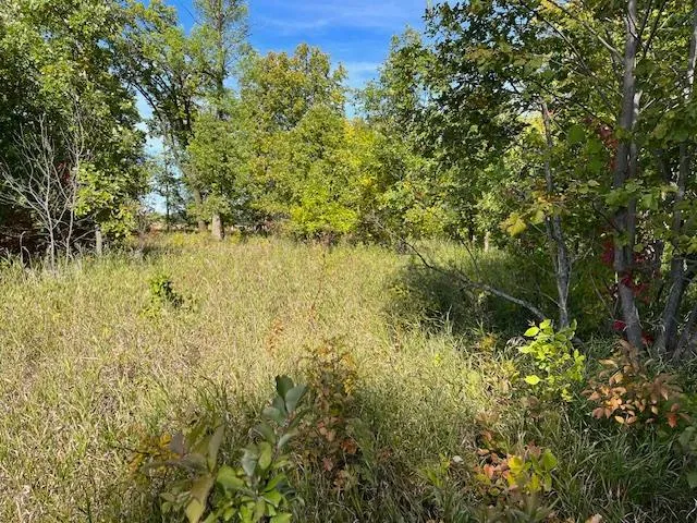 $115,000 | Xxxx Woodsmen Lane Southwest, Alexandria, MN 56308