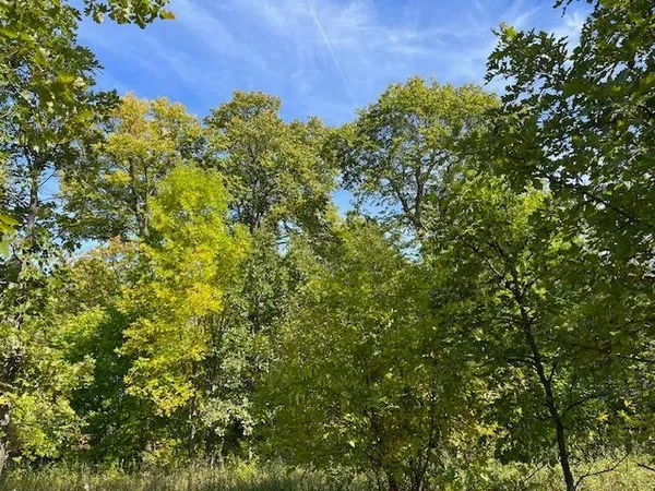 $115,000 | Xxxx Woodsmen Lane Southwest, Alexandria, MN 56308
