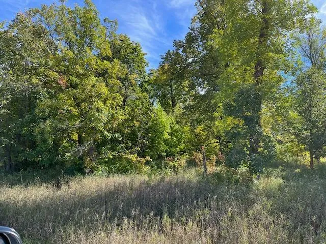 $115,000 | Xxxx Woodsmen Lane Southwest, Alexandria, MN 56308