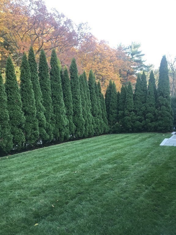 444 South Border Road Winchester, MA 01890 - Photo 22 of 36