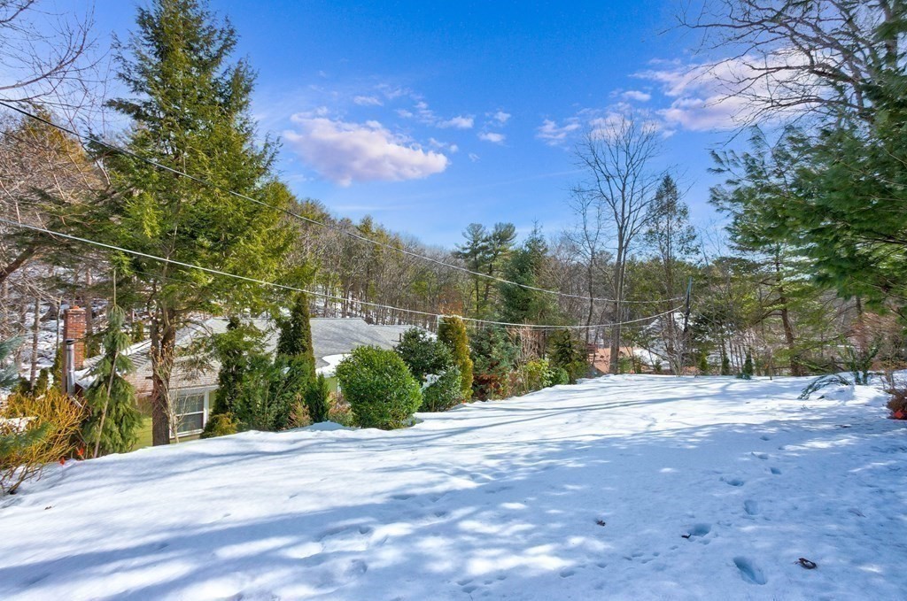 444 South Border Road Winchester, MA 01890 - Photo 29 of 36