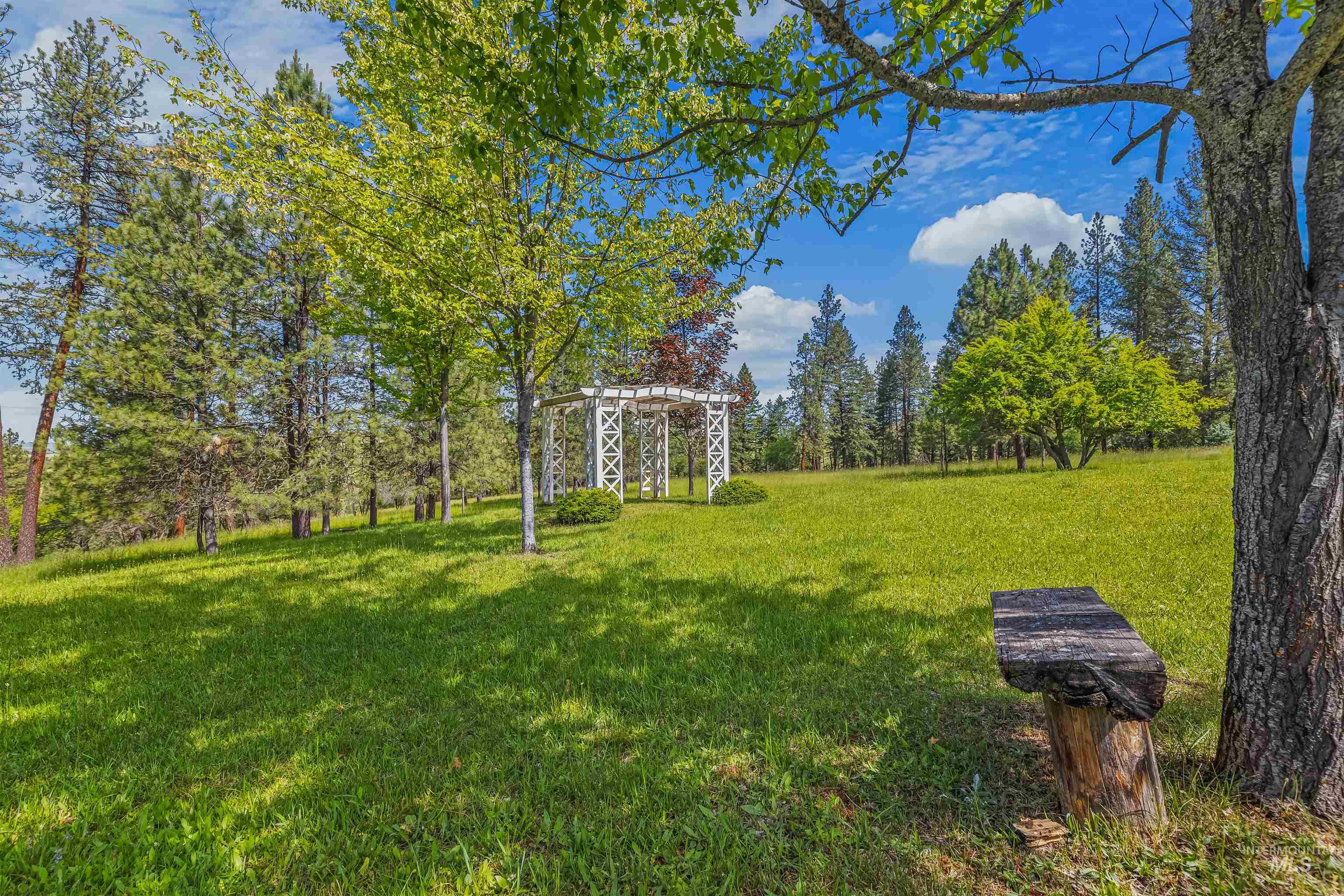 743 Wall Crk Road Stites, ID 83552 - Photo 11 of 48 Expansive green lawn with mature trees, a decorative white arbor, and a rustic wood bench