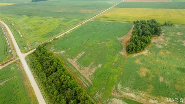 $234,000 | 0 County Road 264, Bragg City, MO 63827