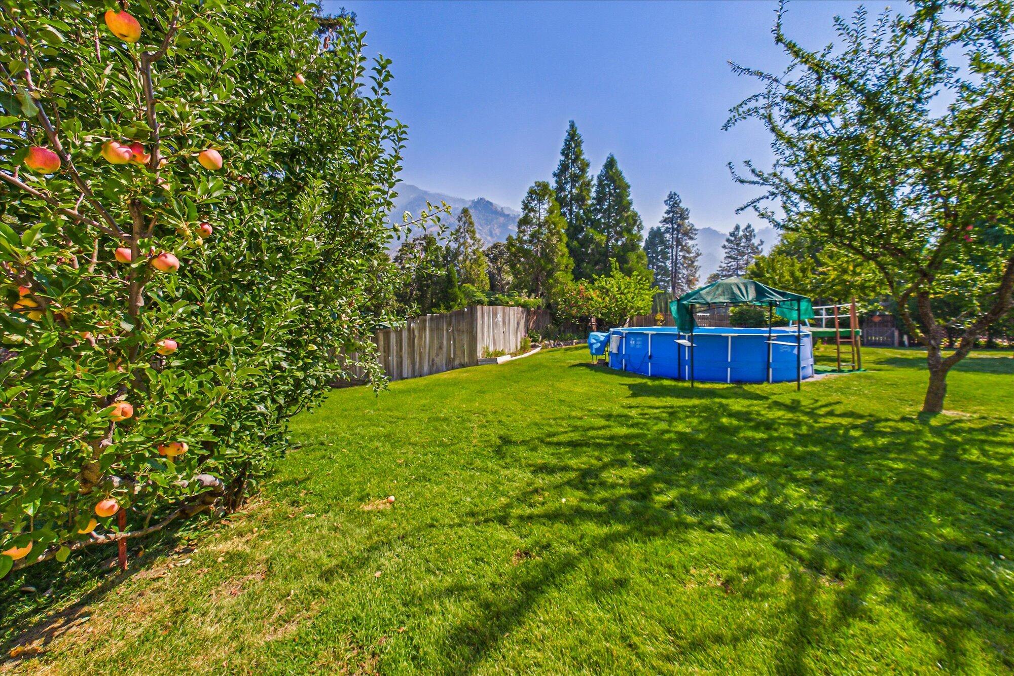 160 Ford Lane Burnt Ranch, CA 95527 - Photo 51 of 61 Gallery Image 51