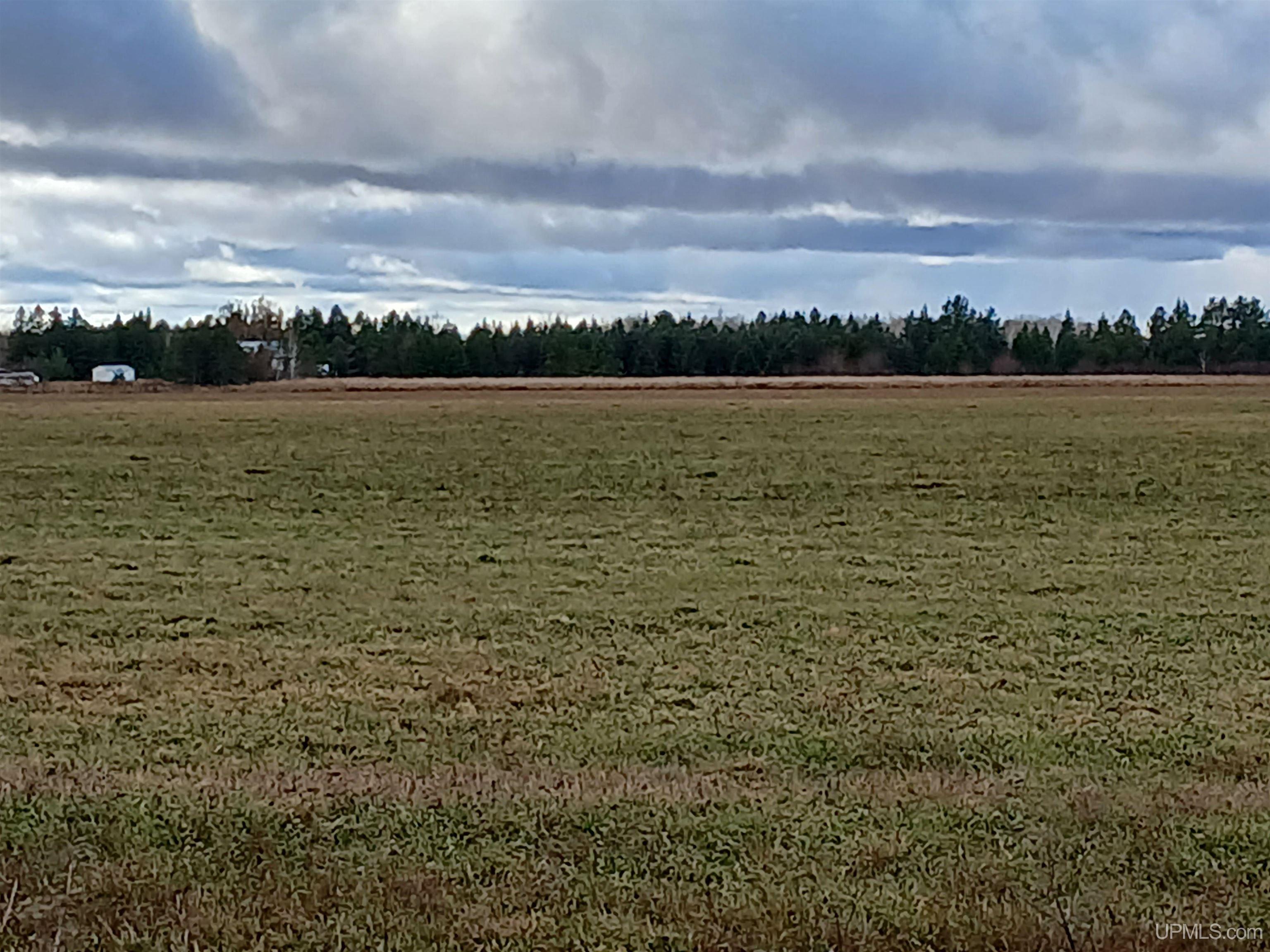 22508 South Hantz Road Rudyard, MI 49780 - Photo 22 of 57