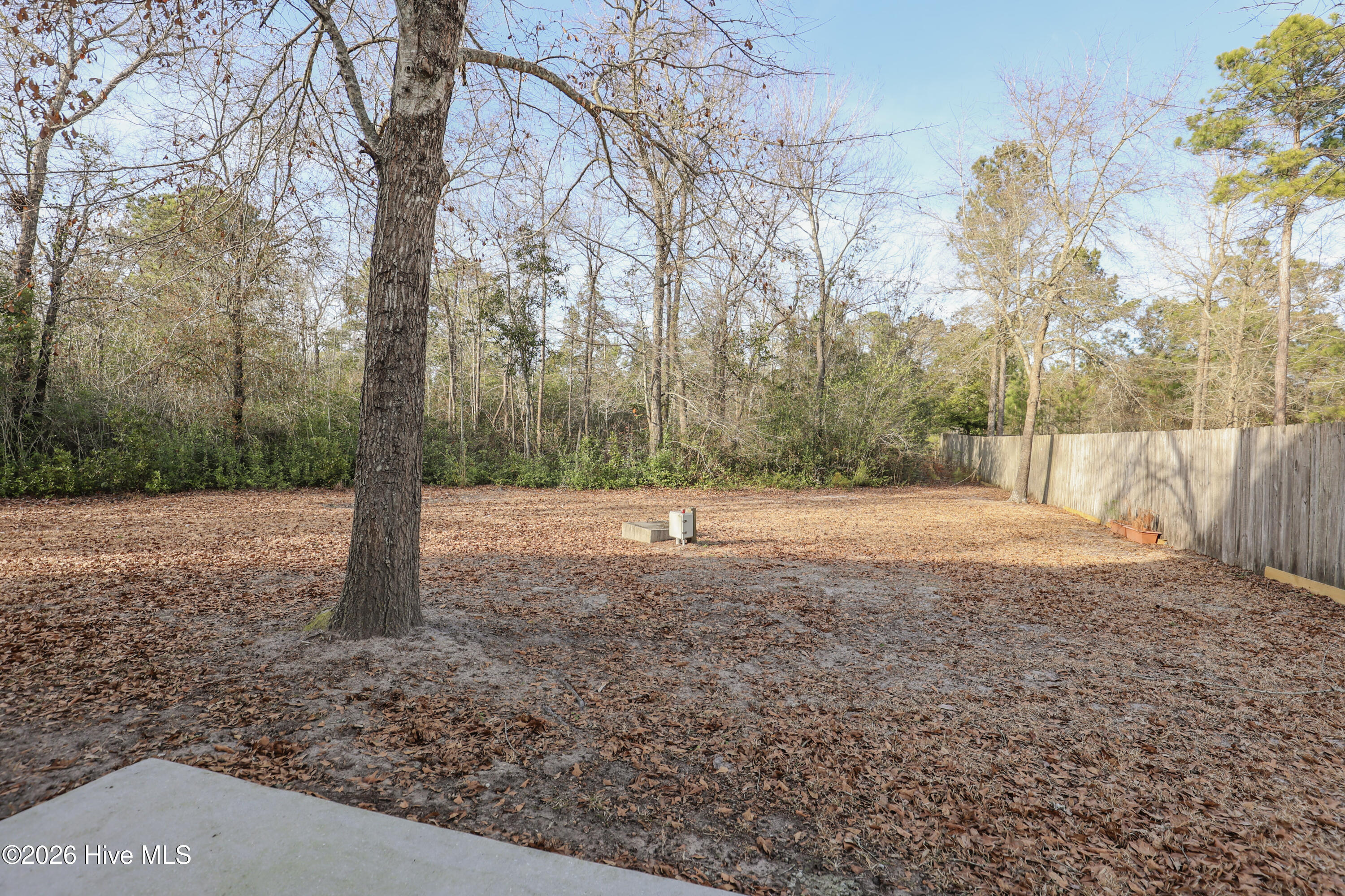 106 Blueberry Fields Road Maple Hill, NC 28454 - Photo 40 of 40 229A1709