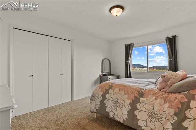 3585 Spaatz Road Monument, CO 80132 - Photo 16 of 35