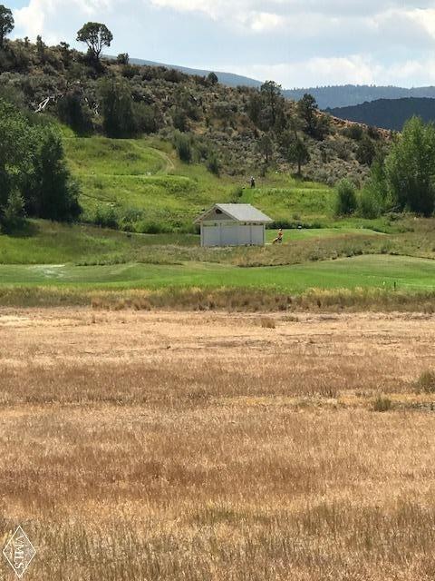 Lush green surroundings of the golf cour