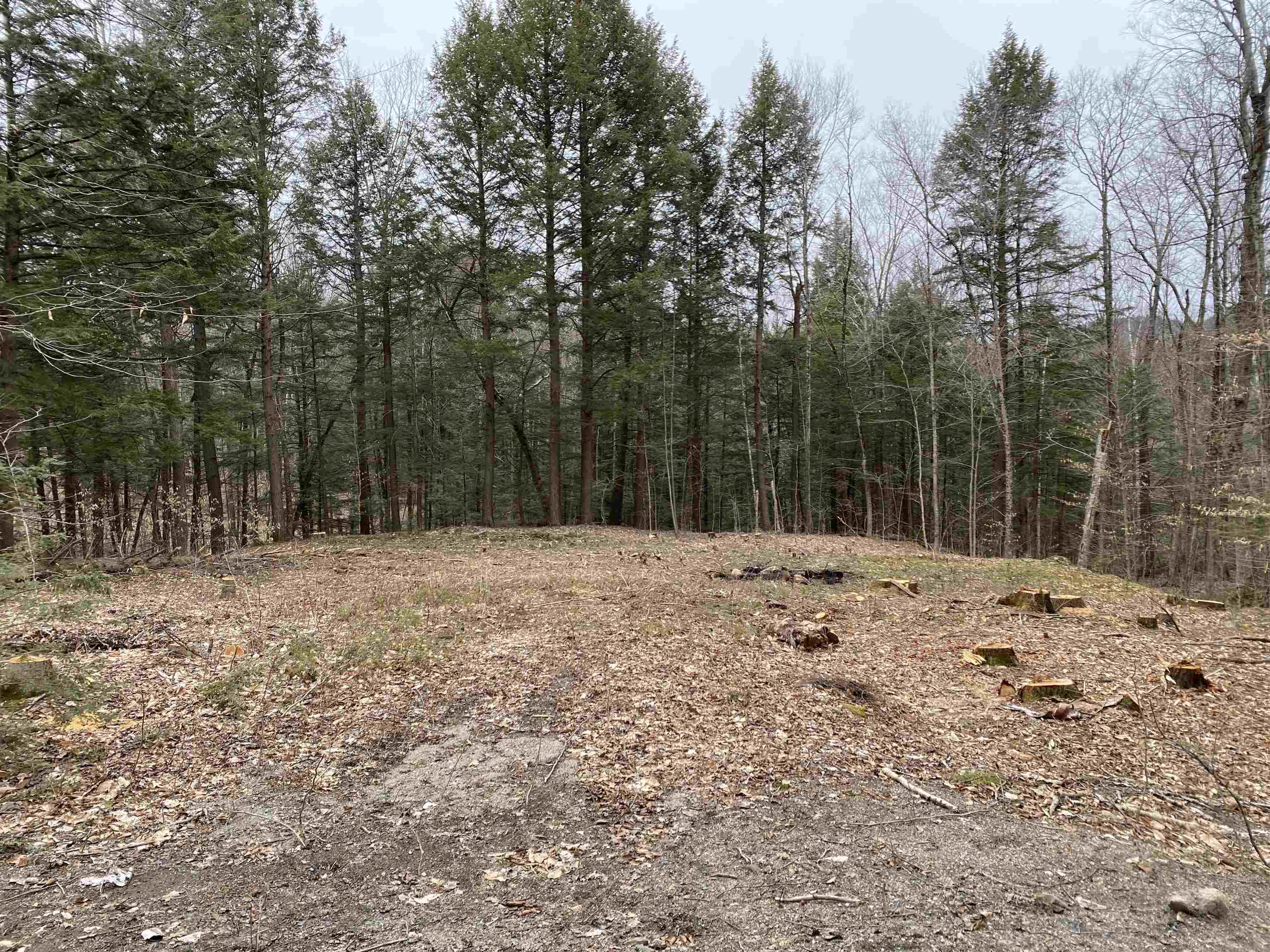 Roberts Road, Unit 1 Springfield, VT 05156 - Photo 1 of 2