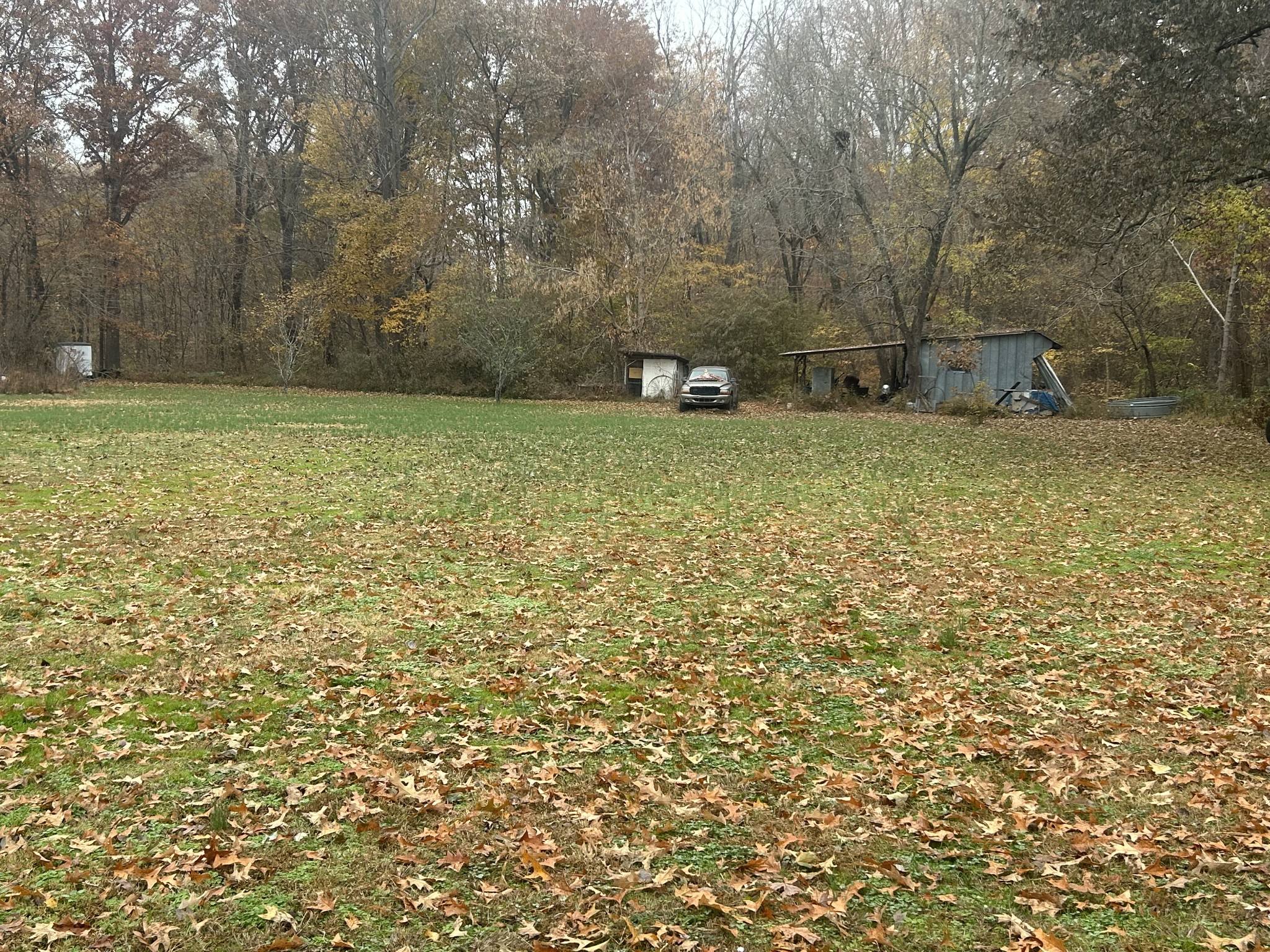 700 Corinth Road Sharon, TN 38255 - Photo 21 of 26 a view of a yard