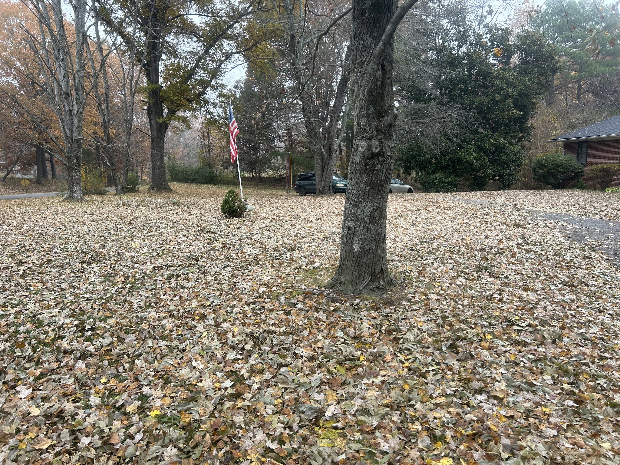 700 Corinth Road Sharon, TN 38255 - Photo 22 of 26 a backyard of a house with lots of green space