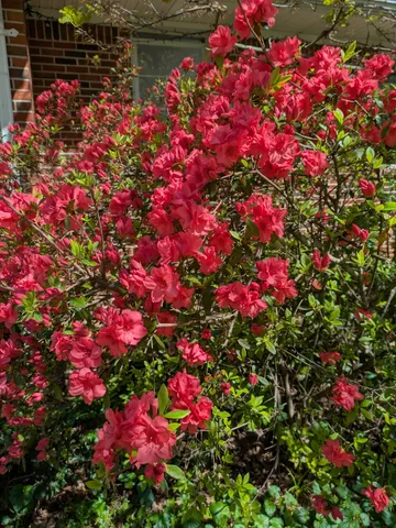 $199,900 | 700 Corinth Road, Sharon, TN 38255