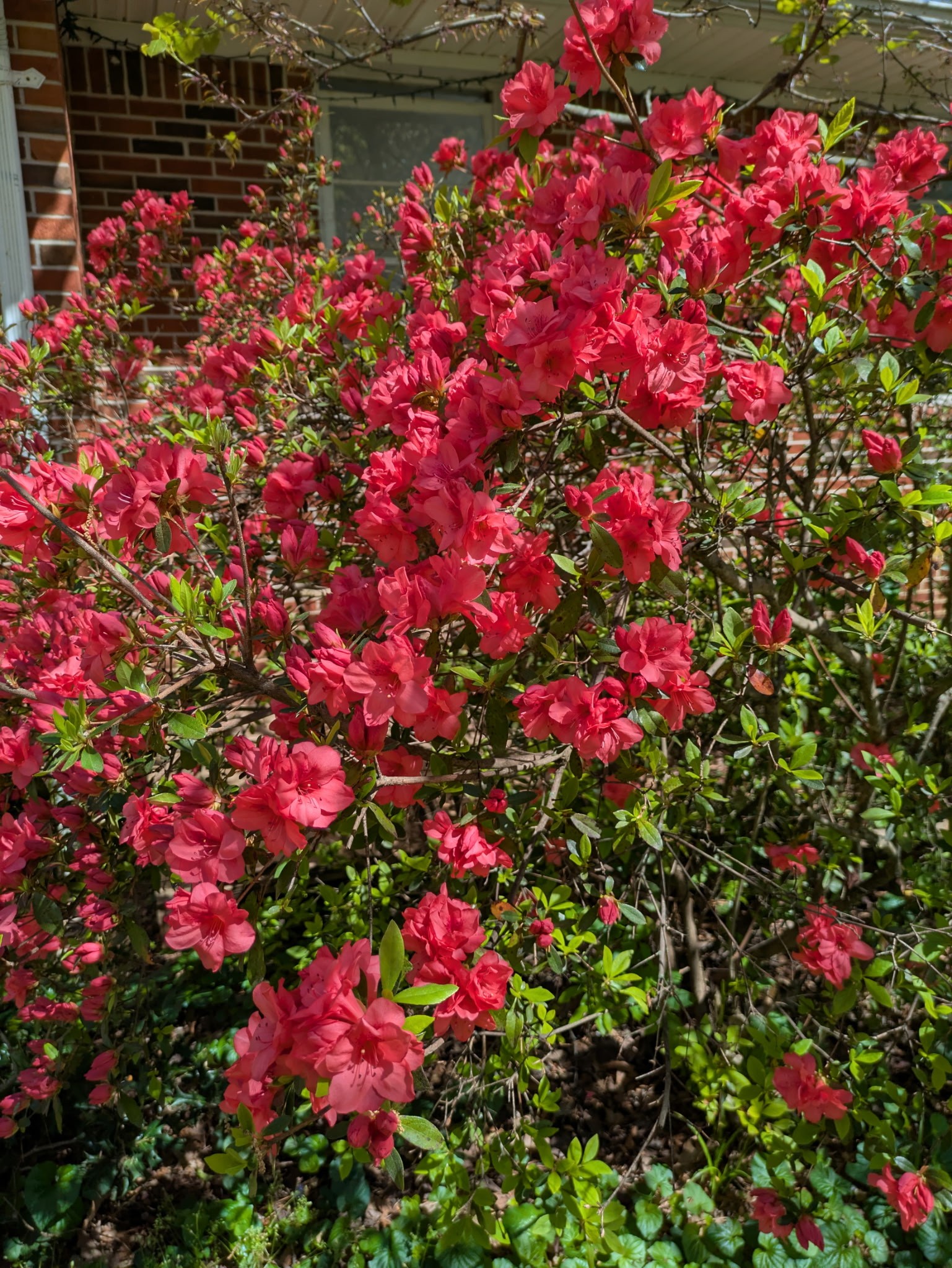 700 Corinth Road Sharon, TN 38255 - Photo 25 of 26