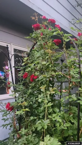 $439,000 | 435 Evans Drive, Green River, WY 82935