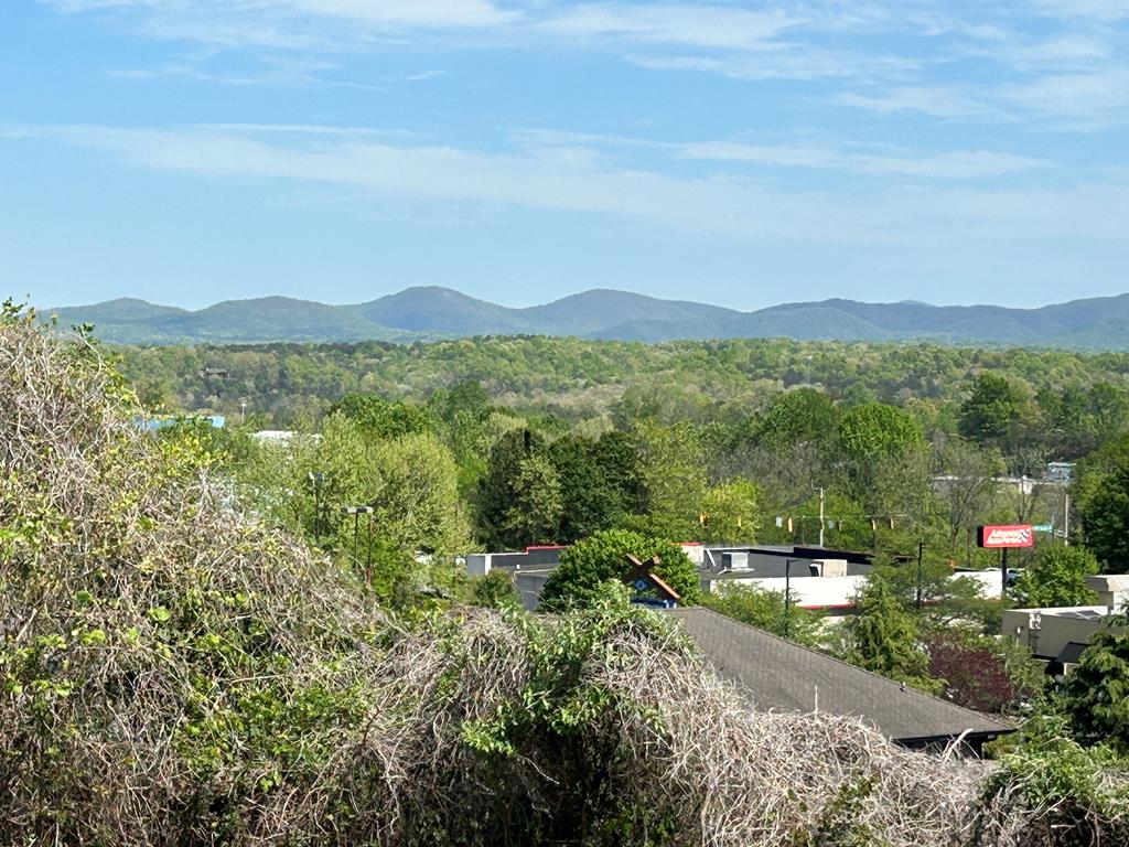0 Blue Ridge Overlook Blue Ridge, GA 30513 - Photo 13 of 27 Gallery Image 13