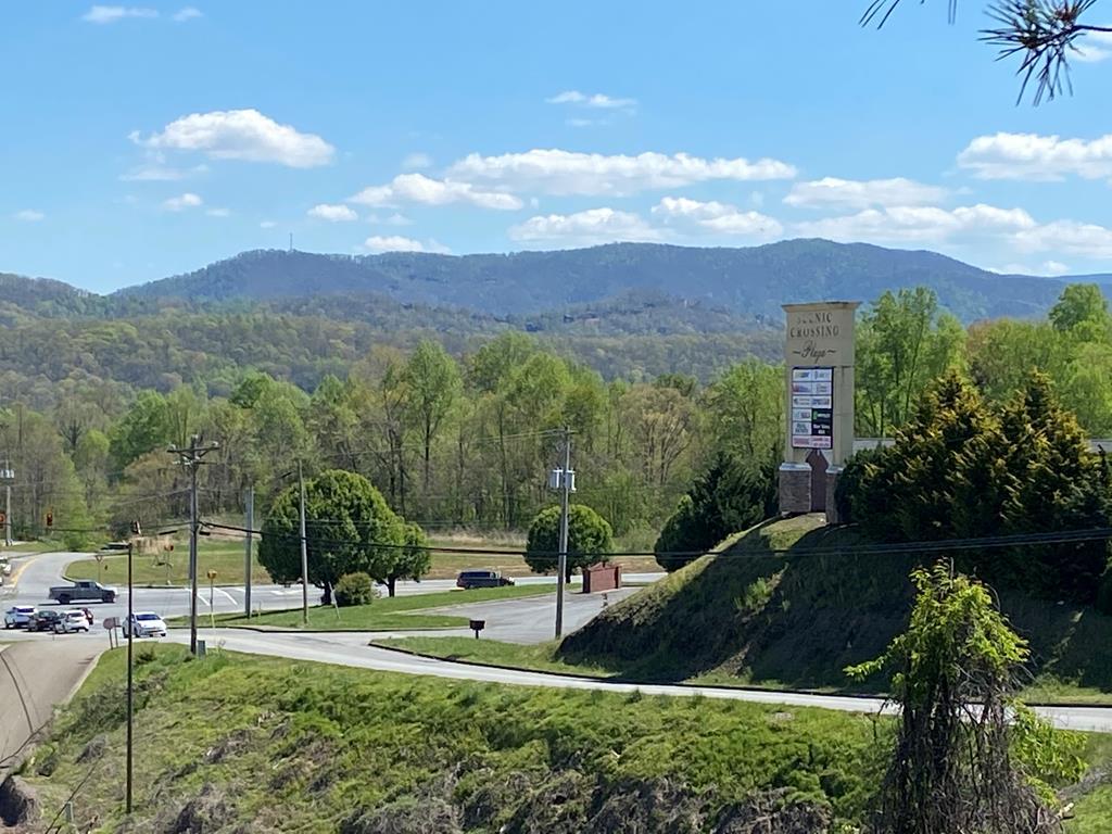 0 Blue Ridge Overlook Blue Ridge, GA 30513 - Photo 2 of 27 Gallery Image 2