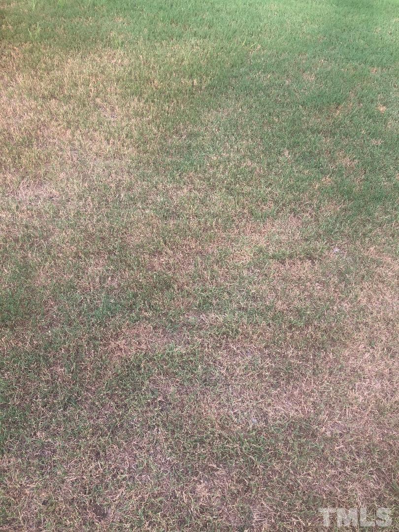 212 Raleigh Farms Road Youngsville, NC 27596 - Photo 2 of 2 Gallery Image 2