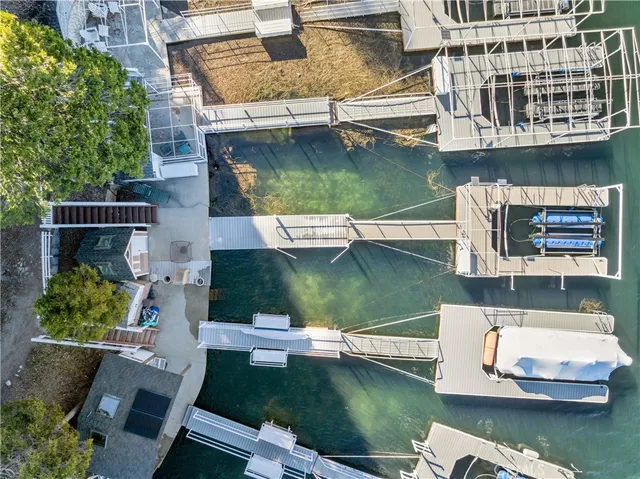 a view of a forest with street view