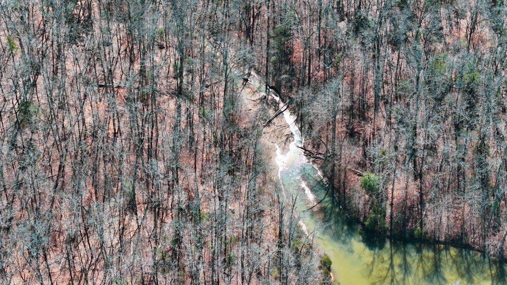 0 Tom Young Bridge Road Iva, SC 29655 - Photo 2 of 9